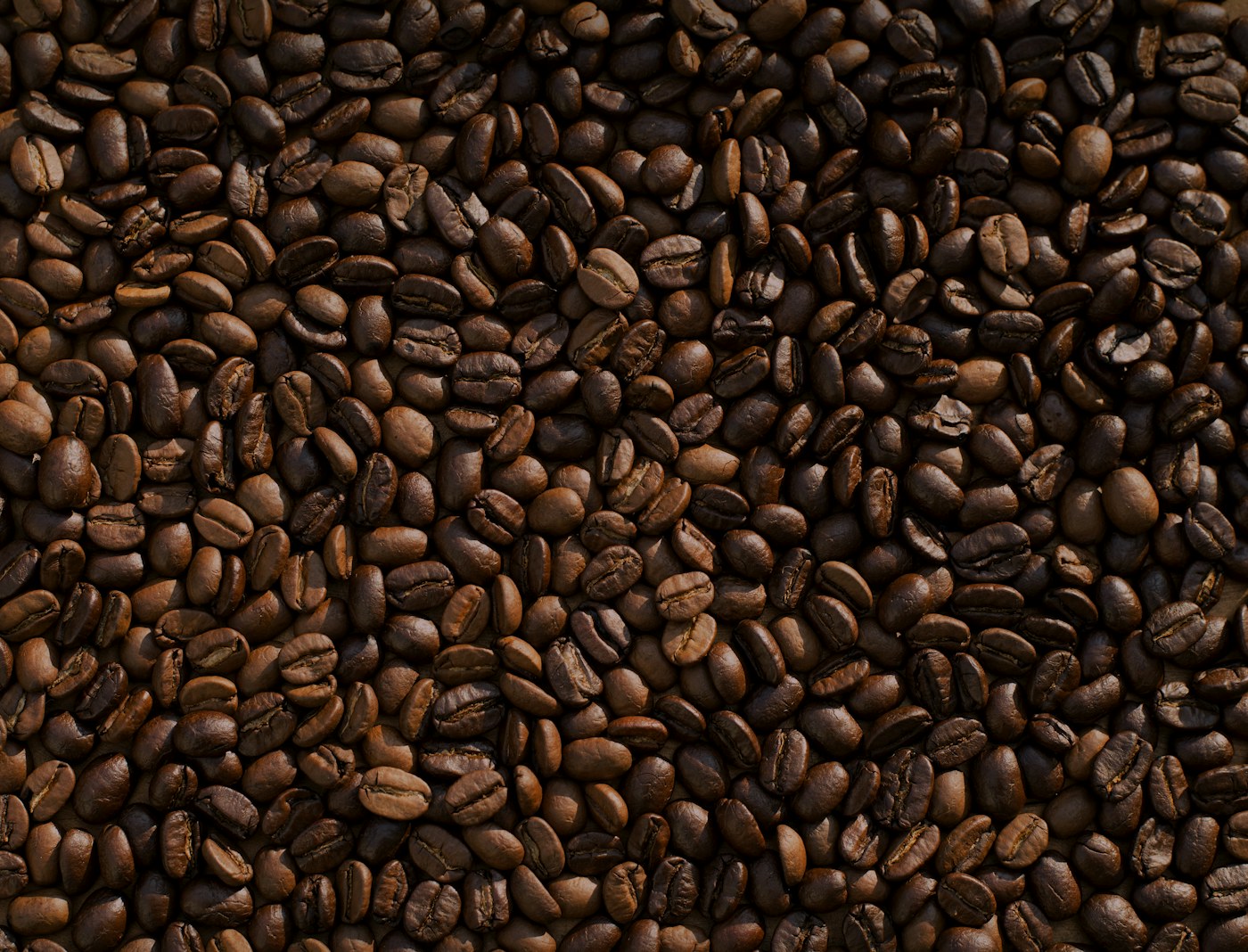 Coffee, Cocoa & Spices